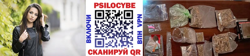 Галлюциногенные грибы Psilocybe Мегион